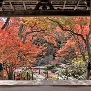 コンパクトだけど中味が濃い紅葉が観れます