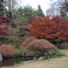 菅刈公園池泉回遊式庭園紅葉