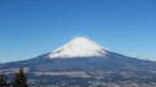 富士山を正面に望むが、周囲の視界を樹木に囲まれる