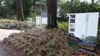 明治神宮の森に調和した建物です。