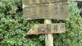 きれいな水が湧いていました