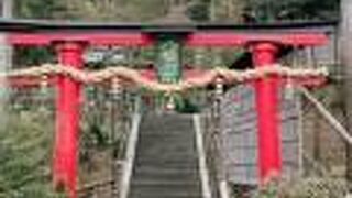 厳かな雰囲気の神社でした