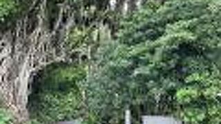 中間集落の入り口