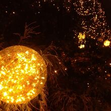 イルミネーション