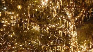 イルミネーションがきれい