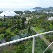 園内の塔から見える奄美パークの全景
