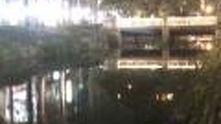 新盛緑川水岸廊道