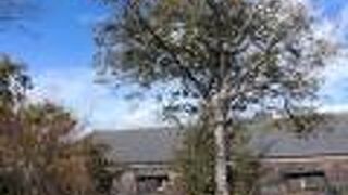 見る場所によって景色が変わる庭園