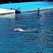 無人島にある水族館