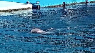 無人島にある水族館