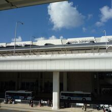 アジア的な雰囲気がします