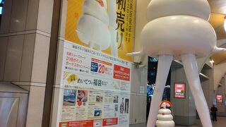 新年らしい装いのナナちゃん