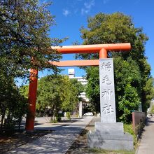 稲毛神社の鳥居