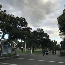 芝生のある公園です