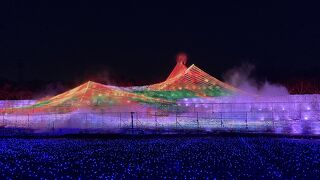 大混雑ですが、イルミネーションは素晴らしい