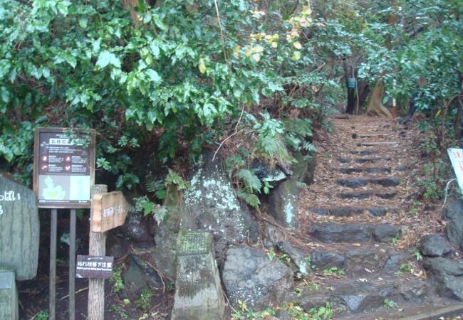 ケープ真鶴から中川一政美術館へ、お林遊歩道を歩きました