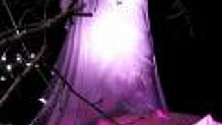 2021年はだいぶ豪華な年末ライトアップイベントで賑わってました