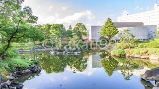 小石川後楽園の東京ドームに近いあたりの雰囲気と似てる気がしました。