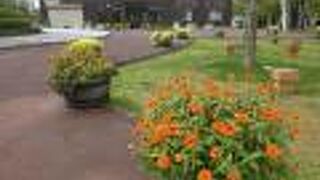 休憩所としての役目もあり。