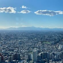 富士山が見えました