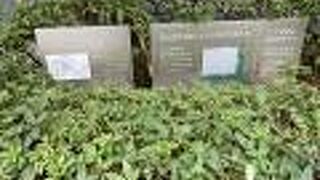 大阪初の純洋式劇場跡