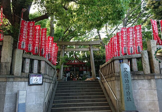 「神奈川宿歴史の道」沿いにある観光スポットとして見応えのある、平安時代中期からの神社。板碑、大楠、日露戦没記念碑等、見処有り。