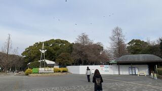 現在休園中です。