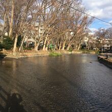 ドラマ ごめんね青春 にも登場した清流 By Tenkuusogo 桜川のクチコミ フォートラベル