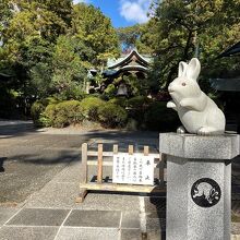 ウサギがお出迎え