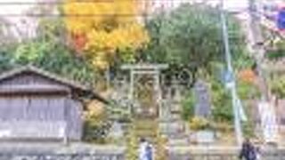 残念ながら鳥居の前の鉄の門は閉まっていて観光客は立ち入り禁止でした。