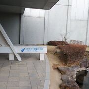 本物の川を覗いているようなリアルな水槽と充実の展示内容