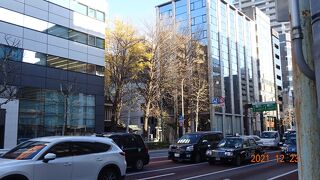 新大橋通りを歩いて行くと突然大きな沢山のイチョウの木が出現するのですぐにわかります。