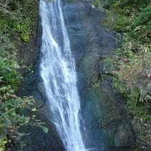 けっこうな高さです。