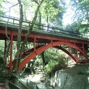 木々の間に佇む赤い橋はなかなか素敵