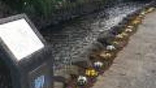 「赤橋」が架かる湧水の流れ