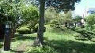 フェンス手前からは全容がわからないのが残念