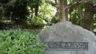 台地の下と上を結ぶ階段は結構疲れます