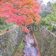 理智光寺橋付近の「二階堂川」の川沿いの紅葉がとてもキレイでした。