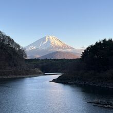 精進湖の子抱き富士