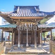 境内に背の高い木が少ないせいで神社特有の鬱蒼とした雰囲気はありません。