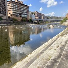 静かな武庫川、往年の賑わいはない