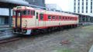 国鉄急行色もいました