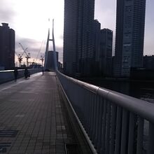 辰巳駅側から撮影。
