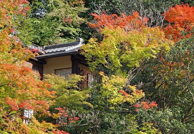 嵐山の混雑を避けて湯豆腐を食べるならここ以外には考えられないけど、最近は予約が必須です。