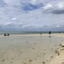 冬は曇りがちで残念…