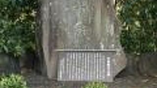 弘法大師の再来？　木食の遊行僧