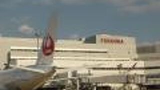 綺麗な展望デッキ