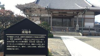 蓮の名所　北条氏ゆかりの寺