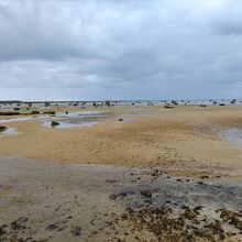 遠浅の海に巨岩が点在。