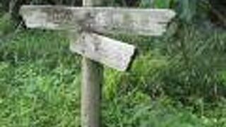 引潮の時だったのでチョット残念でした